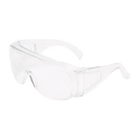 Visitor Spec clear lens