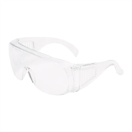Visitor Spec clear lens